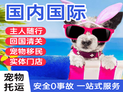 吉安井冈山机场邮寄国际宠物托运 【国